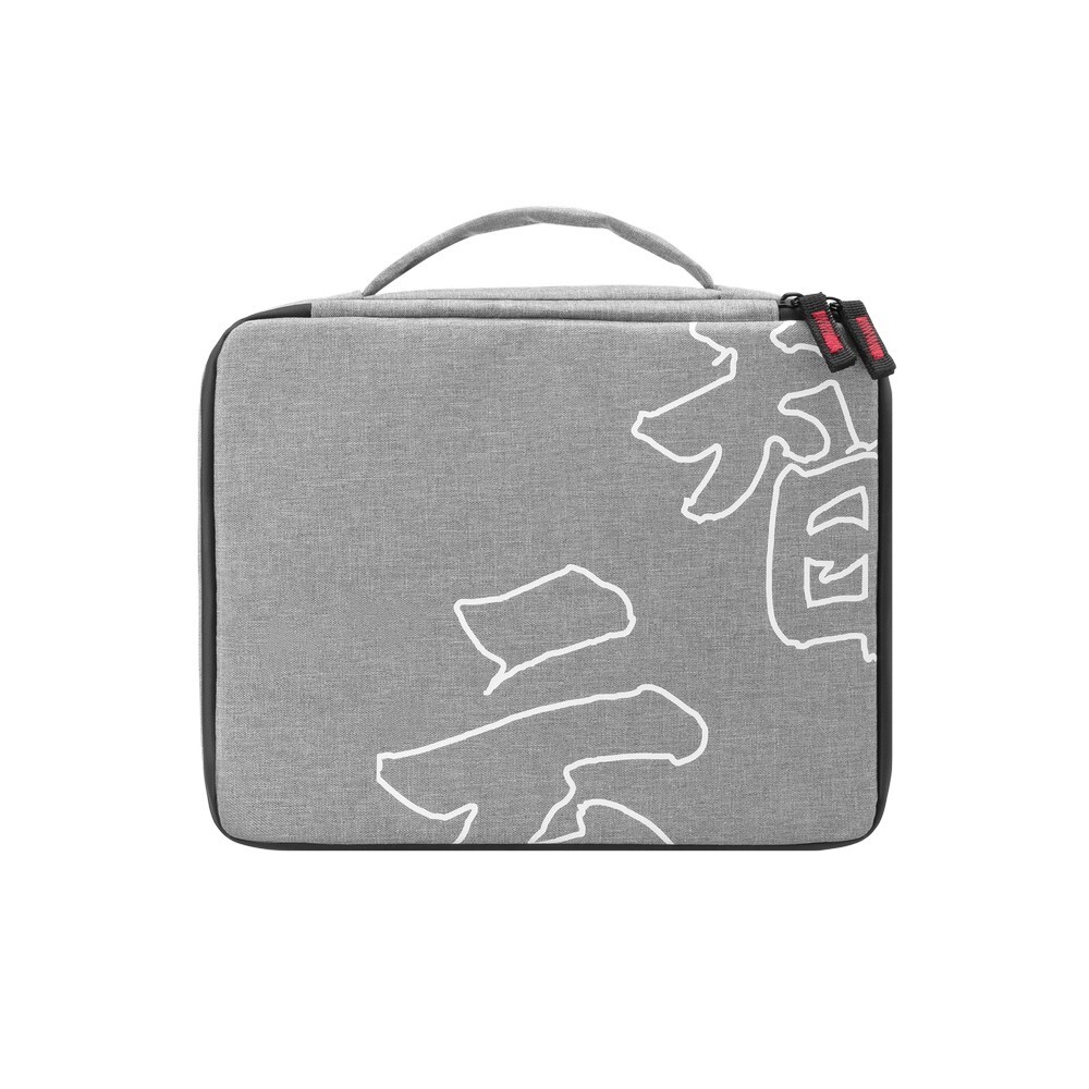 Осветитель Zhiyun MOLUS X100 COMBO (PL105)