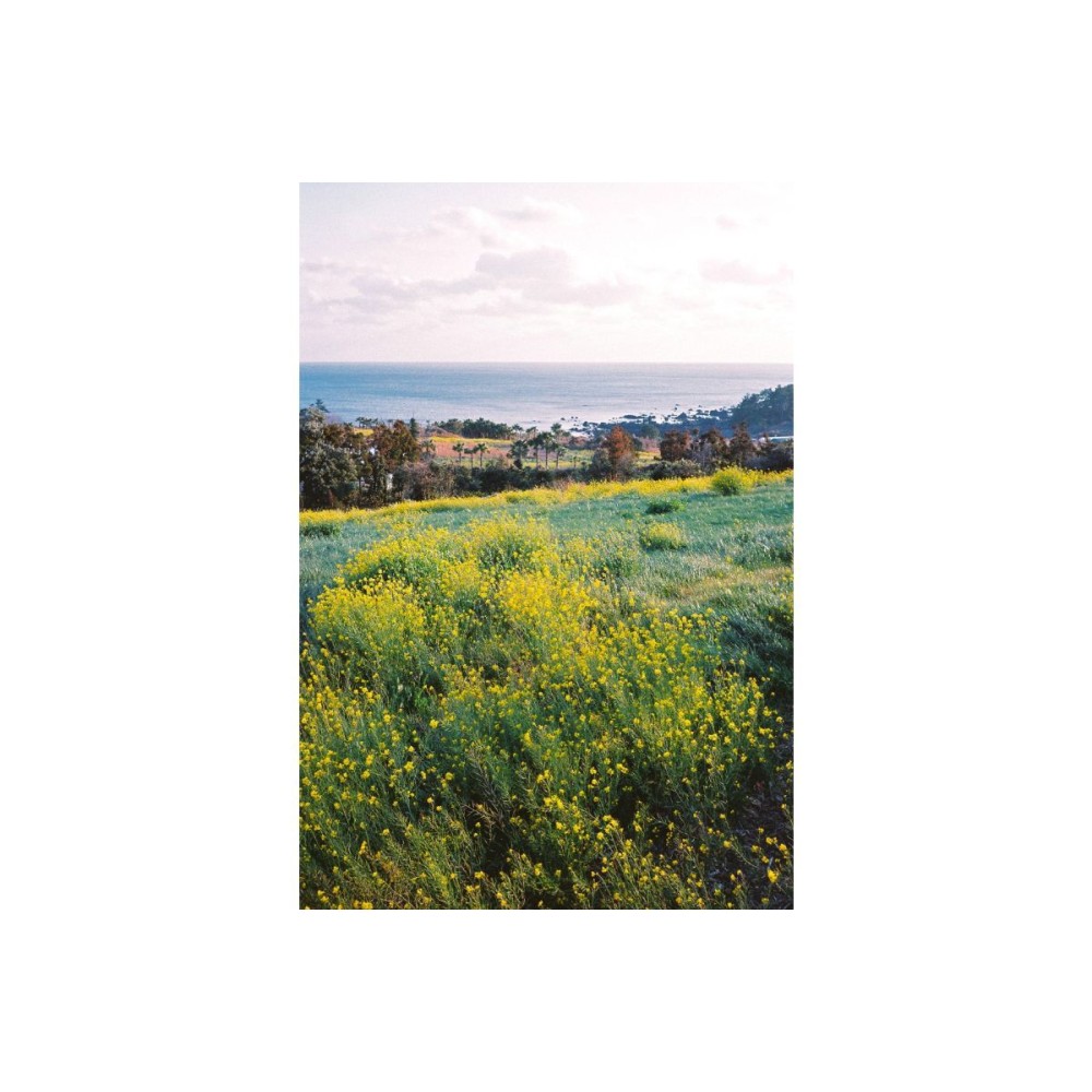 Фотопленка Lomography Color Negative 35 mm ISO 400, 36 кадров, 1 шт.