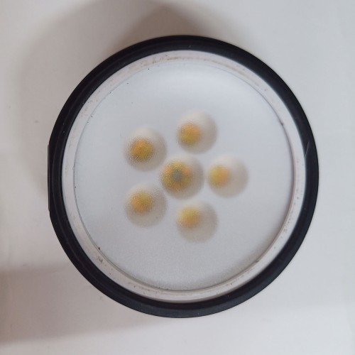 Источник света Profoto C1 Plus (тестовый образец, 1922003670)