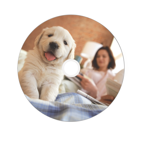 Оптический диск Verbatim BD-R SL 25GB 6X DataLifePlus Wide Termal Printable No ID, Spindle, 25 шт