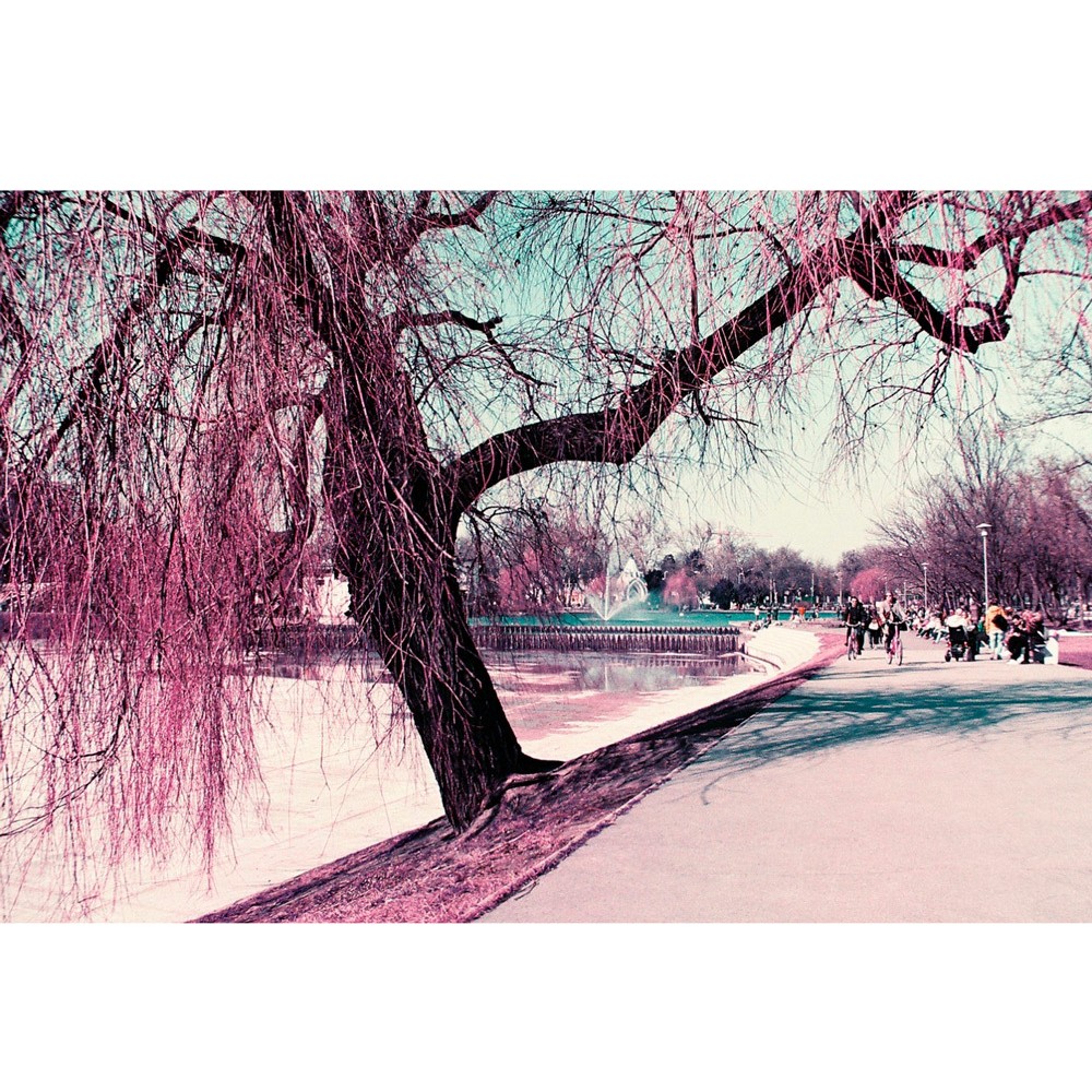Фотопленка Lomography Lomochrome Purple XR 35 mm ISO 100-400, 36 кадров, 1 шт.