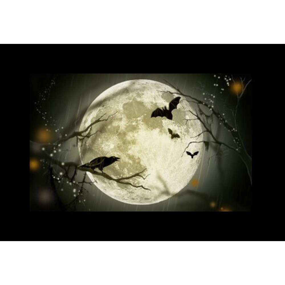 Набор слайдов Godox AK-S02 для насадки AK-R21 Хэллоуин