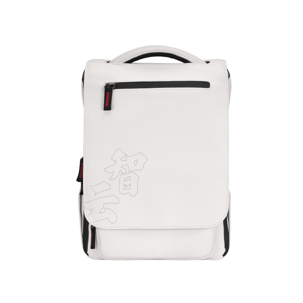 Стабилизатор Zhiyun Crane M3 Combo Kit