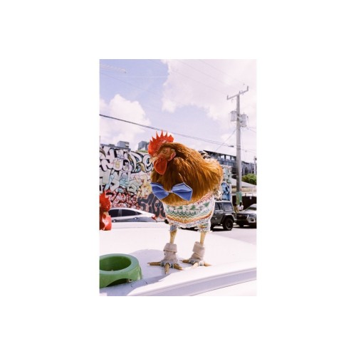 Фотопленка Lomography 2021 LomoChrome Metropolis 35 mm ISO 100–400, 36 кадров, 1 шт