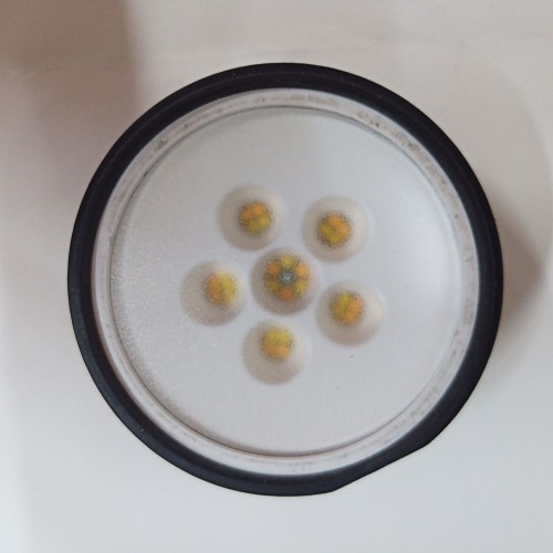 Источник света Profoto C1 Plus (тестовый образец, 1922002053)