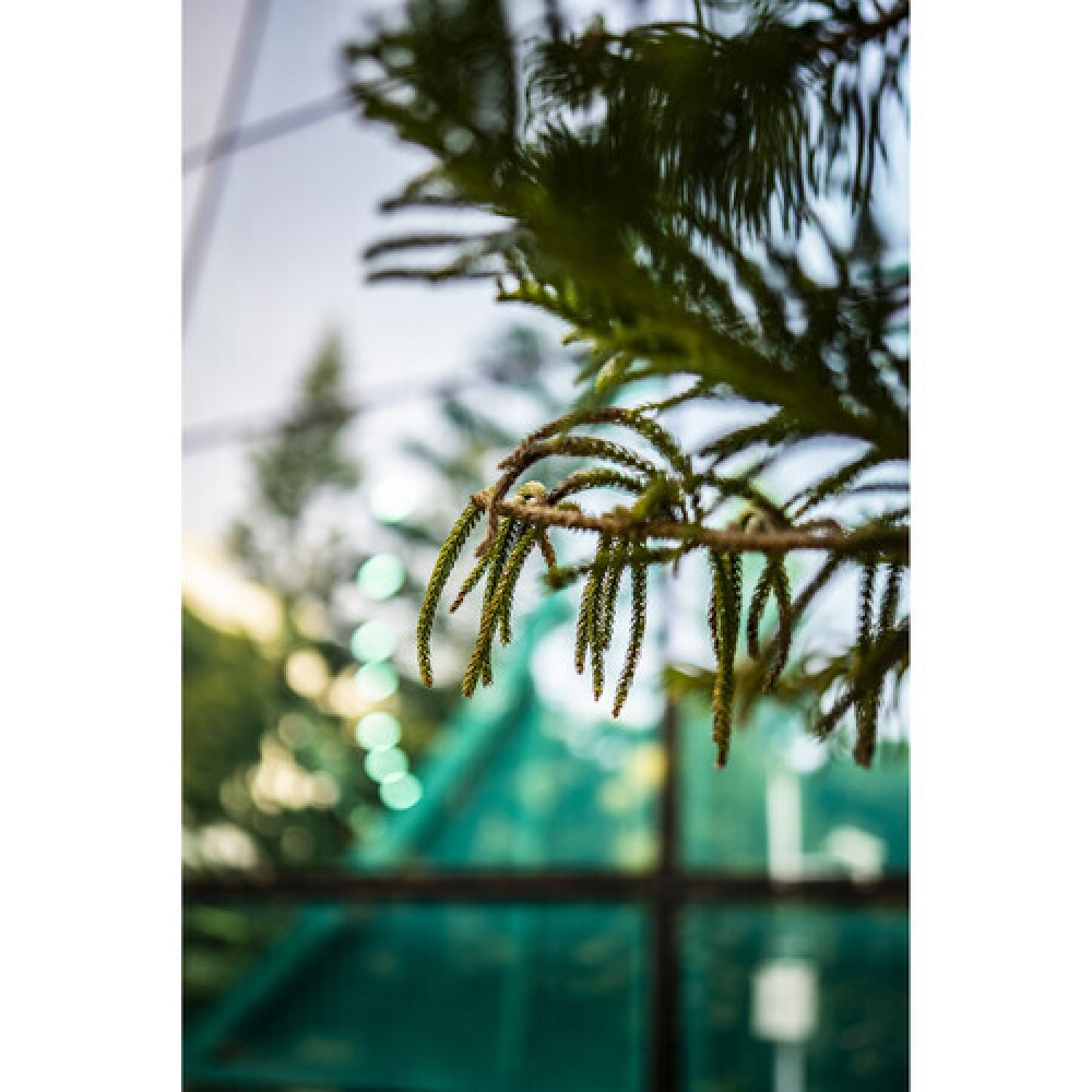 Объектив Viltrox AF 50mm F1.8 FE для Sony FE