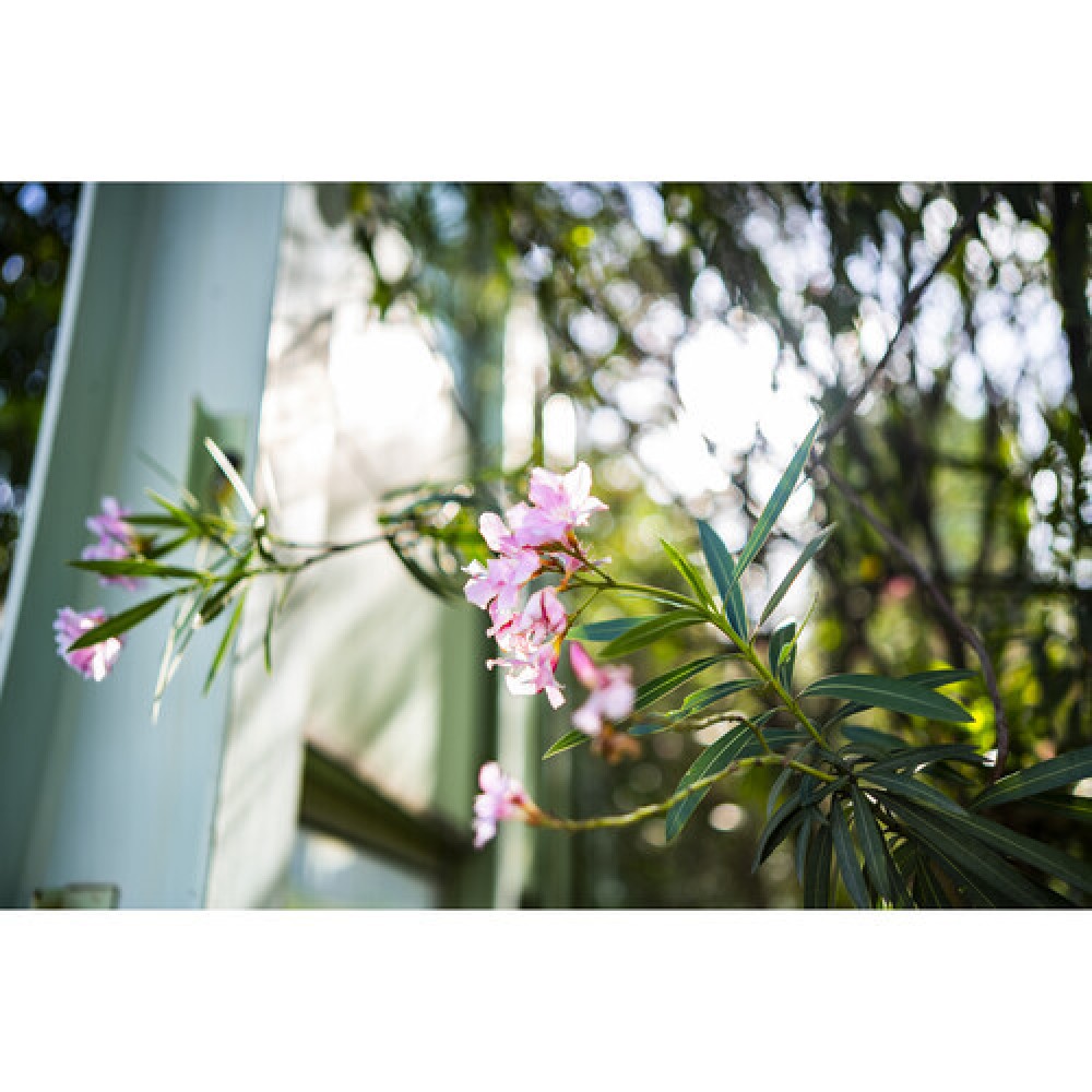 Объектив Viltrox AF 35mm F1.8 Z для Nikon Z