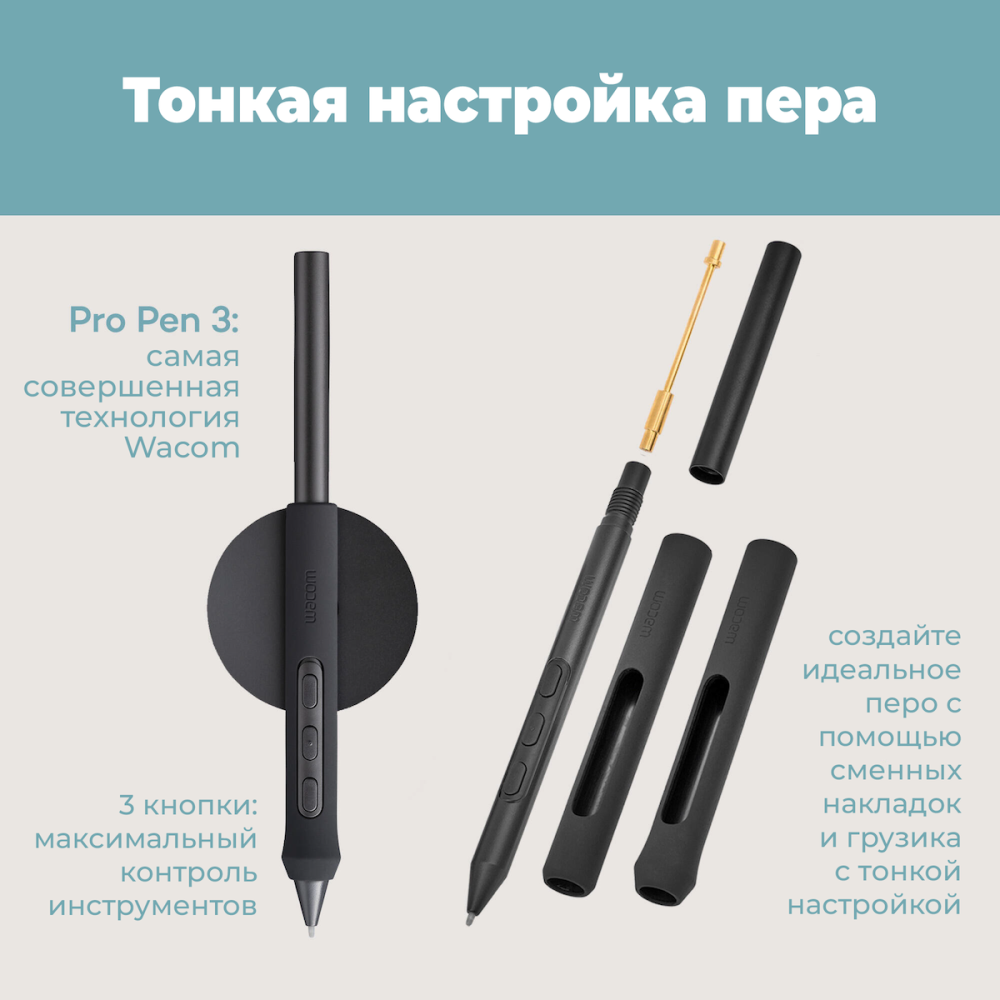 Графический планшет Wacom Intuos Pro Creative Pen Tablet Large (2025)