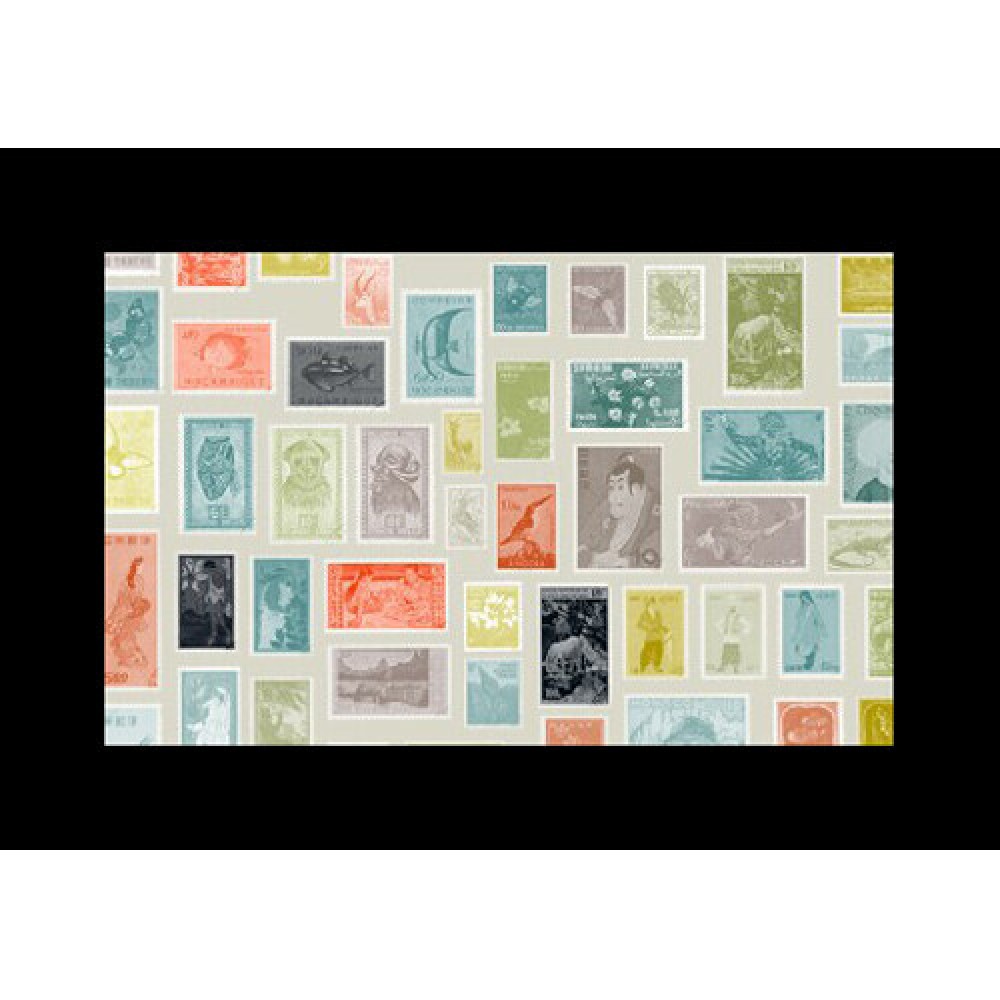 Набор слайдов Godox AK-S03 для насадки AK-R21