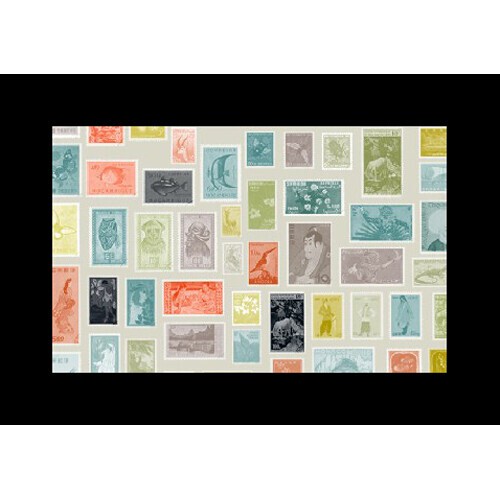 Набор слайдов Godox AK-S03 для насадки AK-R21