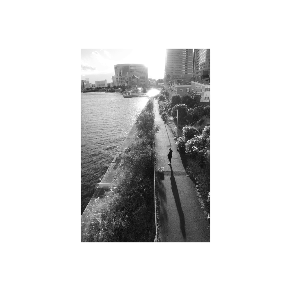 Фотоаппарат Ricoh GR IIIx HDF