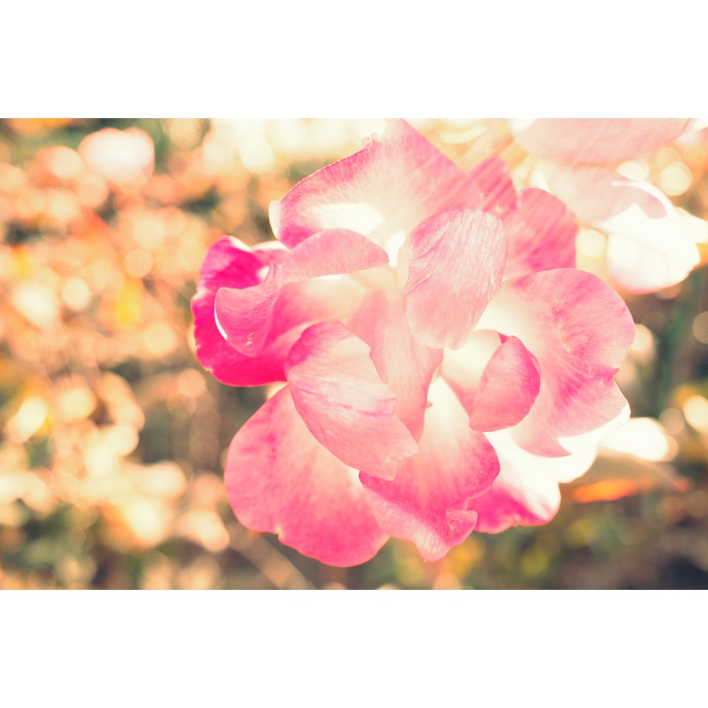 Фотоаппарат Ricoh GR IIIx HDF(EU, без AC)